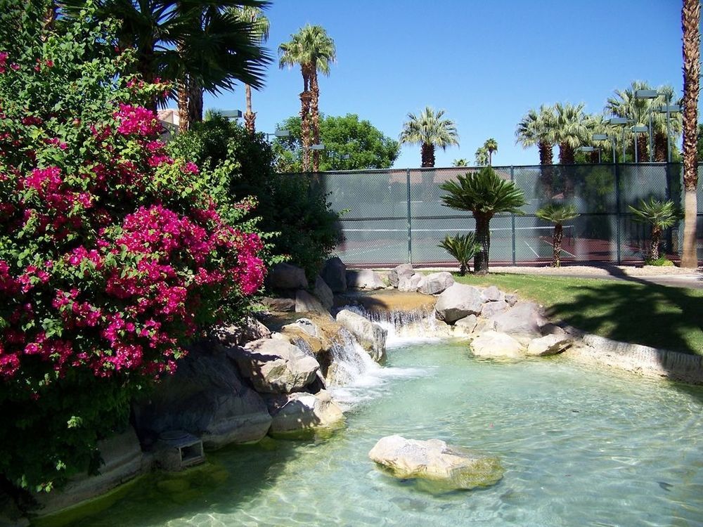 The Oasis Resort Palm Springs Faciliteter billede