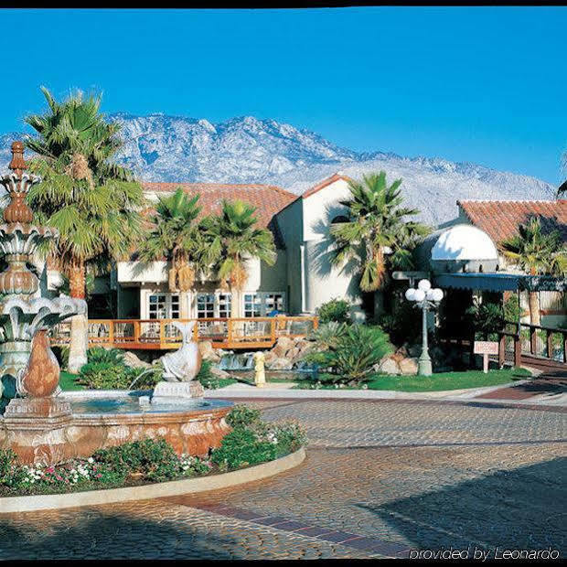 The Oasis Resort Palm Springs Eksteriør billede